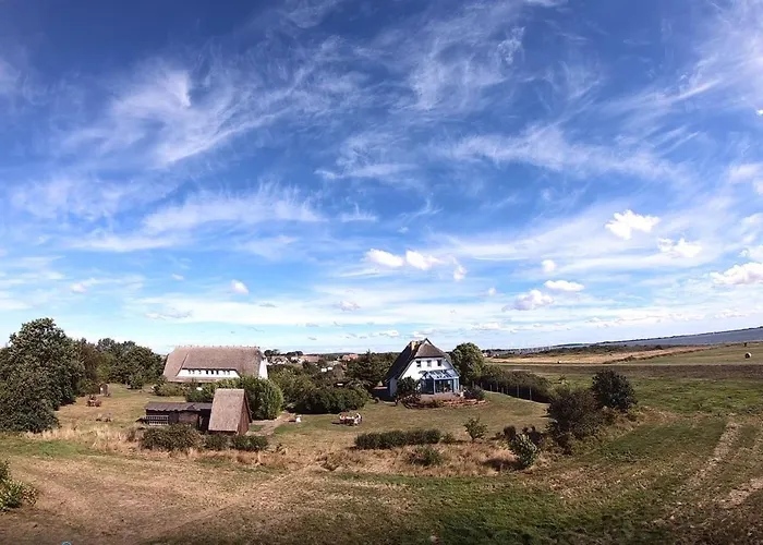 Suederhaus Hiddensee App 4 Lejlighed *